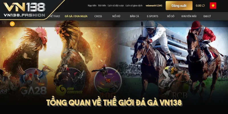 Tổng quan về thế giới đá gà VN138