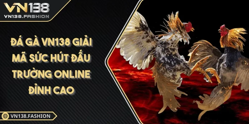 Đá Gà VN138 sức hút đỉnh cao