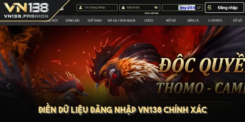 Điền dữ liệu đăng nhập VN138 chính xác