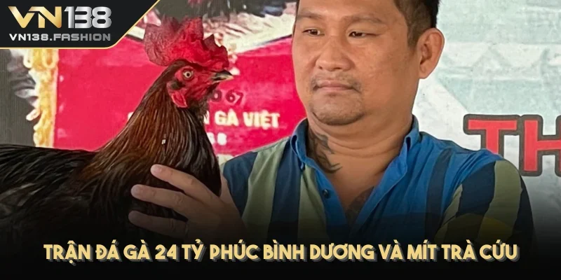 Trận đá gà 24 tỷ Phúc Bình Dương và Mít Trà Cứu